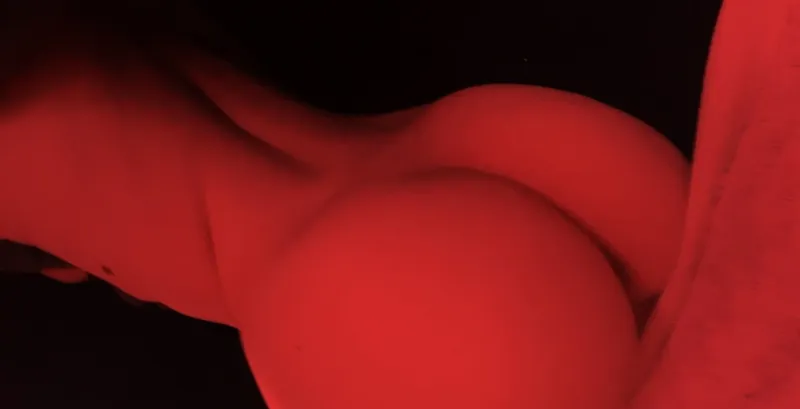 zireal onlyfans header image